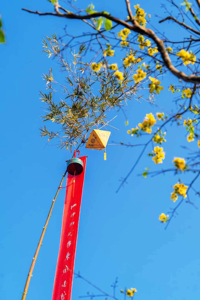 Mãn nhãn với ‘Hương xưa bánh Tết’ trong Hoàng cung Huế - Ảnh 18.