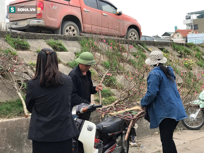 Tài xế nghỉ làm đi chở thuê cây cảnh ngày cận Tết kiếm tiền triệu mỗi ngày - Ảnh 3.