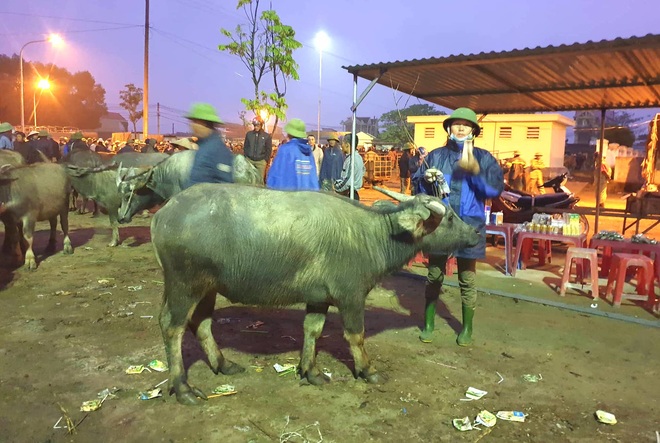 Ghé chợ trâu bò lớn nhất Đông Nam Á ngày cận Tết - Ảnh 18.