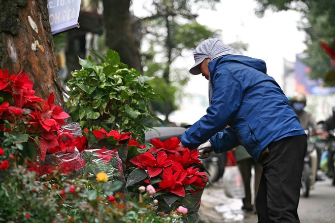 Mặc thời tiết mưa rét, người dân chen chân mua hoa Tết tại chợ hoa lâu đời nhất Hà Nội - Ảnh 12.