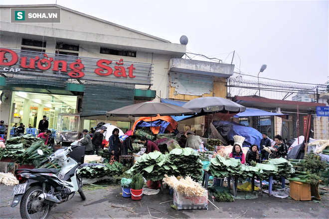 Các chủ hàng bỏ túi tiền triệu nhờ bán lá dong phục vụ người gói bánh chưng muộn - Ảnh 1.