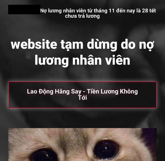 Sếp nợ lương thưởng Tết, nhân viên đóng cửa website công ty BĐS - Ảnh 1.