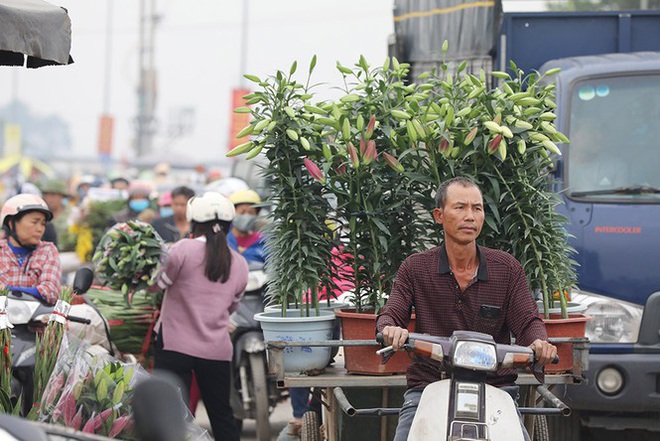 Thủ phủ hoa lớn nhất miền Bắc đông nghịt dân buôn ngày cận Tết - Ảnh 8.