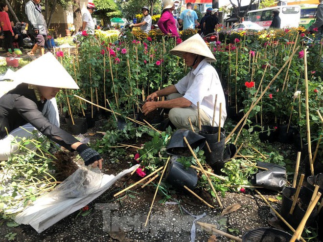 100 nghìn đồng 3 chậu cúc, khách vẫn kỳ kèo trước giao thừa - Ảnh 1.