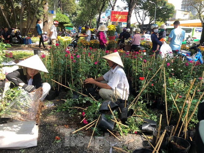 100 nghìn đồng 3 chậu cúc, khách vẫn kỳ kèo trước giao thừa - Ảnh 2.