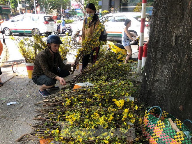 100 nghìn đồng 3 chậu cúc, khách vẫn kỳ kèo trước giao thừa - Ảnh 20.