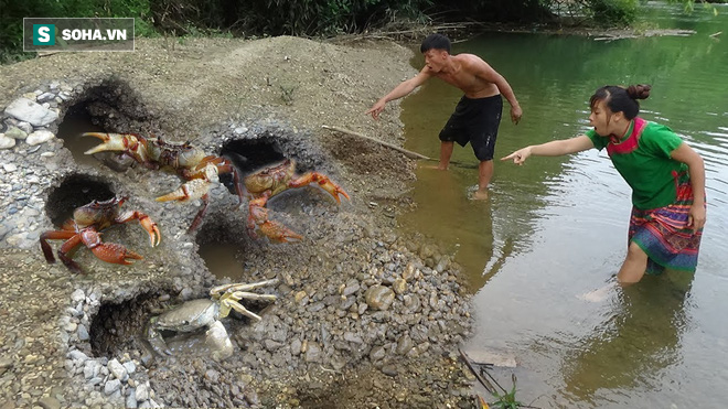 Thấy lỗ sâu, chàng thanh niên đổ sữa tiệt trùng, kẹo mentos xuống và thu hoạch không ngờ - Ảnh 3.