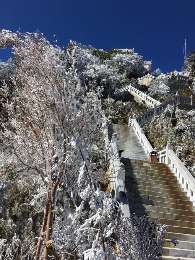Băng tuyết phủ trắng đỉnh Fansipan đầu năm mới - Ảnh 7.