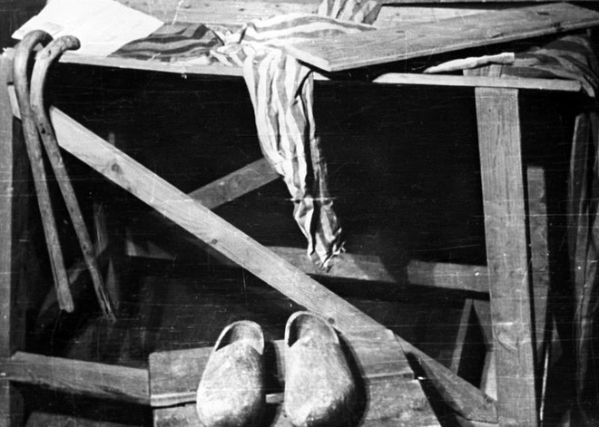Địa ngục trần gian: Hồng quân nhìn thấy gì sau khi giải phóng trại tập trung Auschwitz? - Ảnh 6.