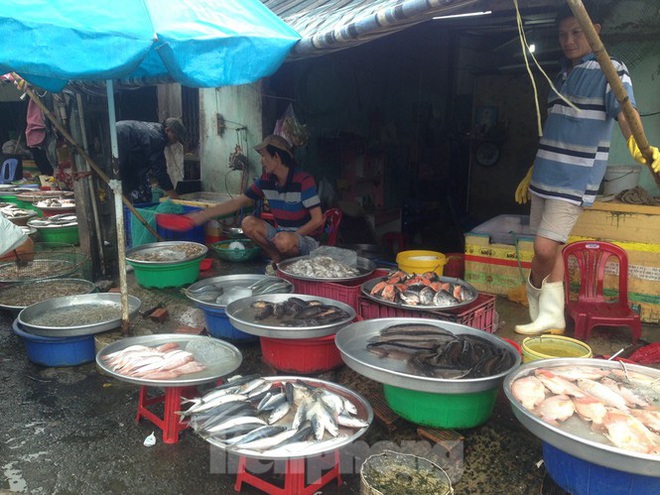 Khan hàng, rau xanh tăng giá chóng mặt ngày mùng 5 Tết - Ảnh 6.