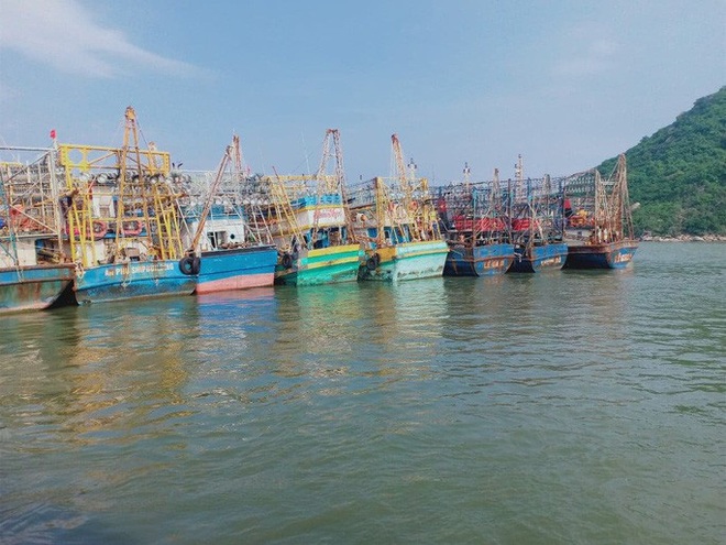 Phó Chủ tịch tỉnh Bình Định khuyến khích ngư dân kiện bảo hiểm PJICO ra tòa - Ảnh 1.