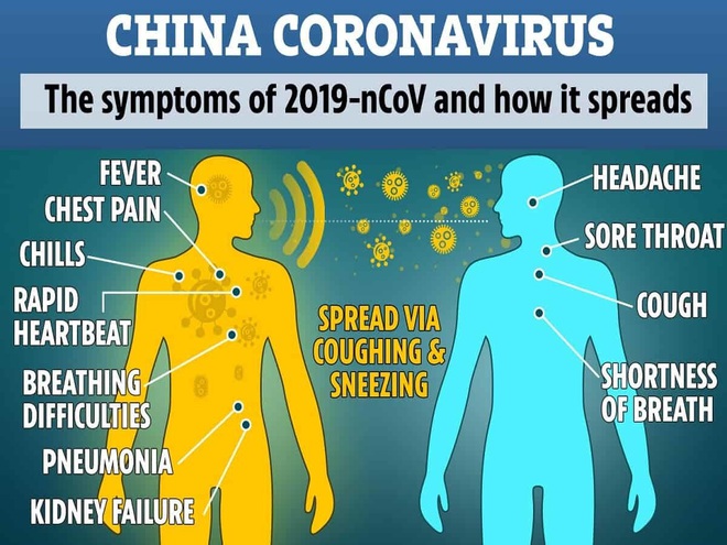 Australia: Virus Corona có thể lây từ người sang người trong vòng 15 phút - Ảnh 1.