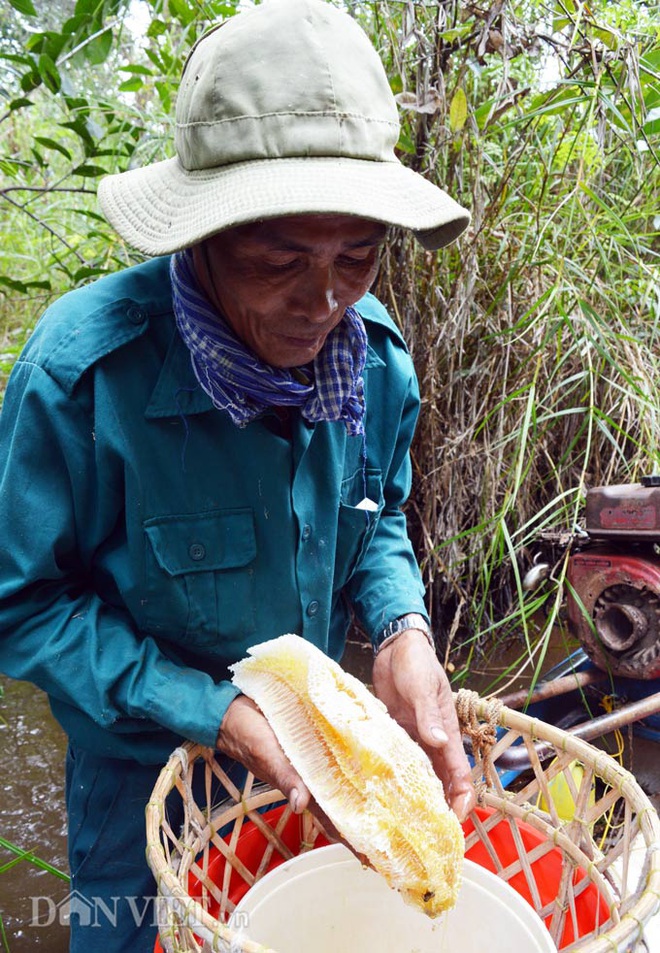 Về U Minh Hạ săn lộc rừng đặc sánh, bán chơi cũng có tiền triệu - Ảnh 8.