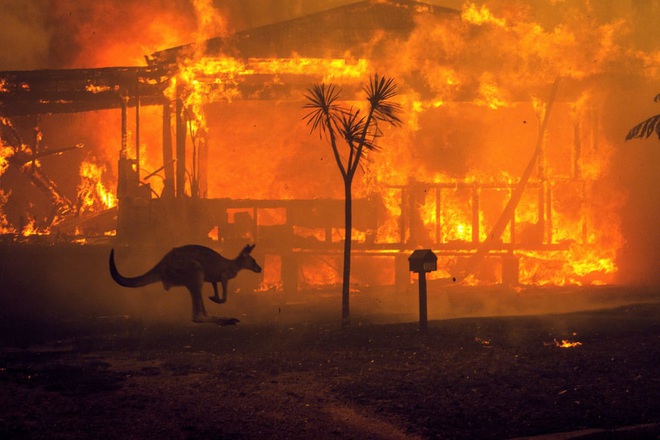 7 ngày qua ảnh: Kangaroo tìm cách đào thoát giữa cơn cháy rừng dữ dội ở Australia - Ảnh 5.