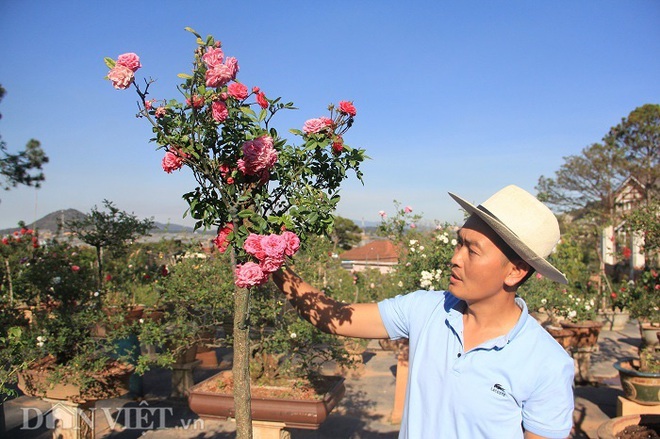 Đột nhập vườn bonsai hoa hồng bạc tỷ của “ông chú” điển trai - Ảnh 6.