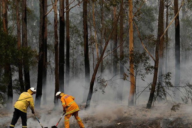 Úc bắt giữ 24 người đổ thêm dầu vào lửa giữa thảm họa cháy rừng - Ảnh 2.