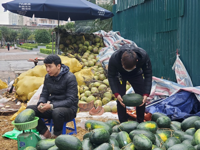 Mưa lạnh kéo dài, hàng loạt điểm bán dưa hấu treo biển mua hộ đồng giá 20.000 đồng/quả - Ảnh 7.