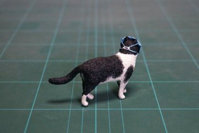 Virus corona mới: Cả mèo cũng đeo khẩu trang ở Trung Quốc - Ảnh 1.