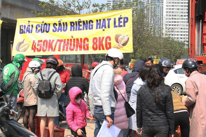 14 tấn sầu riêng về Hà Nội: Treo biển kêu gọi giải cứu, bán theo combo đồng giá 450.000 đồng/8kg - Ảnh 3.