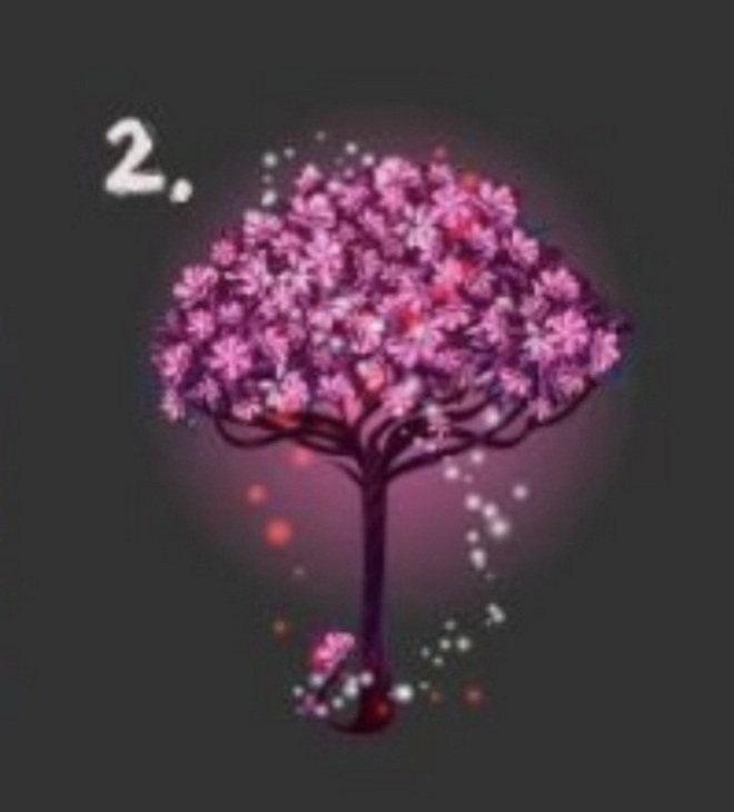 Hãy chọn một cái cây ma thuật: Nếu là số 3, bạn có nội lực chống lại bất công - Ảnh 3.