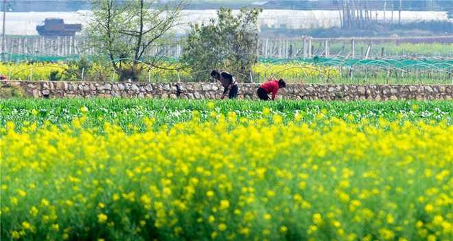 7 ngày qua ảnh: Cảnh khử trùng trên máy bay chở khách ở Việt Nam - Ảnh 10.