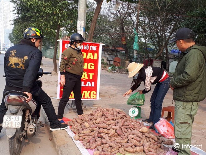 Khoai lang Nhật giải cứu đầy vỉa hè Hà Nội, thương nhân bán giá 13.000 đồng/kg - Ảnh 10.