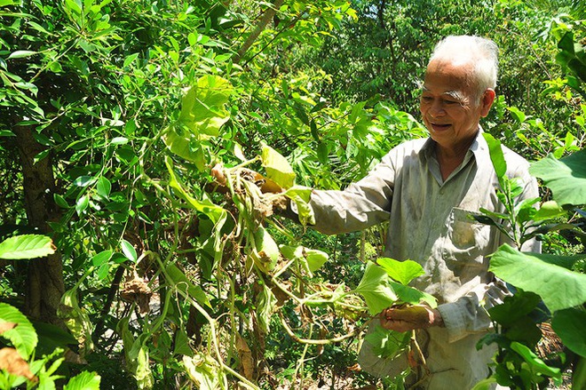 Cận cảnh người dân quay cuồng với hạn mặn khốc liệt chưa từng có ở ĐBSCL - Ảnh 2.