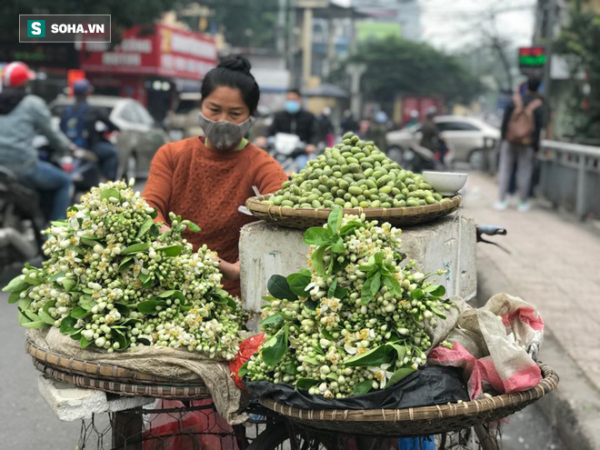 Kiếm tiền triệu mỗi ngày nhờ bán rong quả xanh đầu mùa - Ảnh 3.