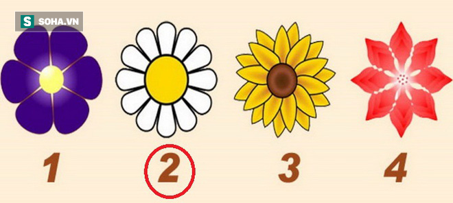 Mỗi bông hoa mang đến một lời khuyên: Số 2 nói rằng bạn cần thư giãn - Ảnh 3.