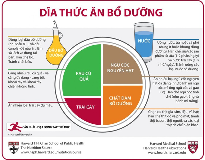 BS Phạm Nguyên Quý: Không phải thực phẩm chức năng, đây mới cách tăng miễn dịch để chống lại virus corona - Ảnh 4.