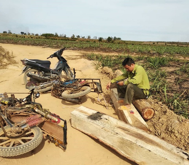 Tạm giữ 7 đối tượng tấn công cán bộ kiểm lâm bị thương sau khi bị phát hiện vận chuyển gỗ lậu - Ảnh 1.