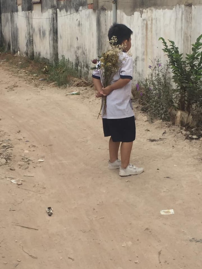 Cậu bé cấp 1 bẽn lẽn cầm bó hoa đứng bên bờ tường, biết câu chuyện ai nấy ôm bụng cười vì đáng yêu quá sức tưởng tượng - Ảnh 3.