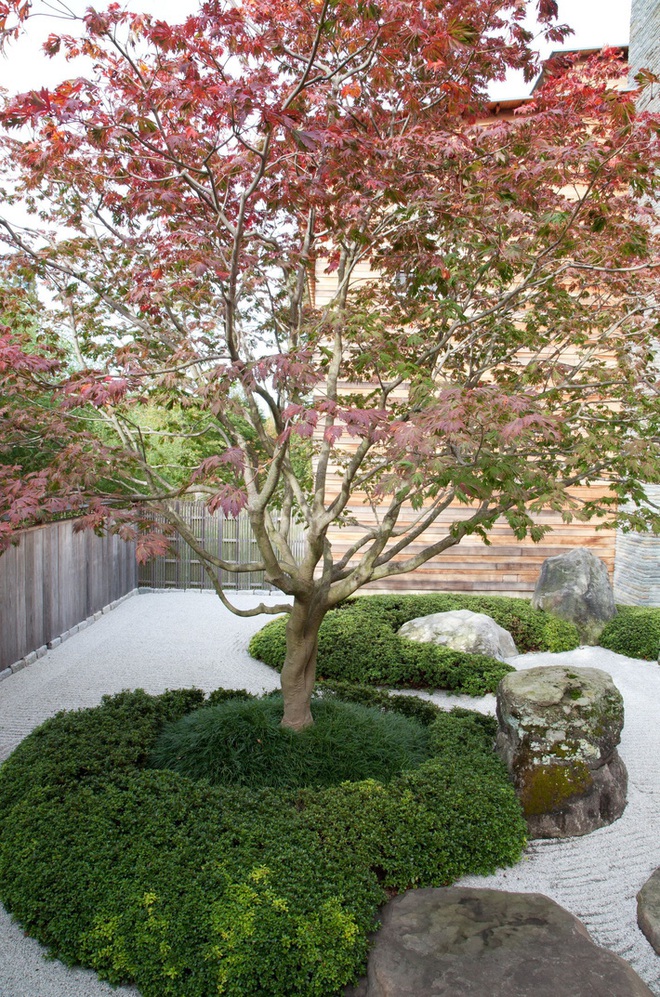 Tham khảo 2 ý tưởng trang trí sân vườn theo phong cách Nhật Bản để hiểu tại sao đơn giản lại chính là đỉnh cao - Ảnh 8.