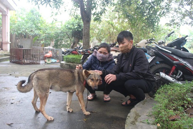 Chiêu đánh bả chuyên nghiệp của nhóm thanh niên gây ra cả trăm vụ trộm chó, mèo - Ảnh 4.