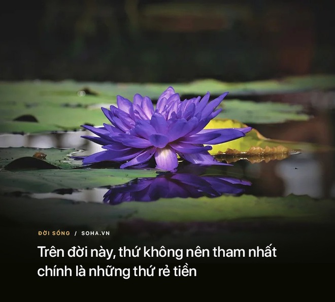 Thích hàng hiệu nhưng giá quá cao, cô gái nghĩ ra cách tiết kiệm tiền, không ngờ mất cả chì lẫn chài - Ảnh 2.