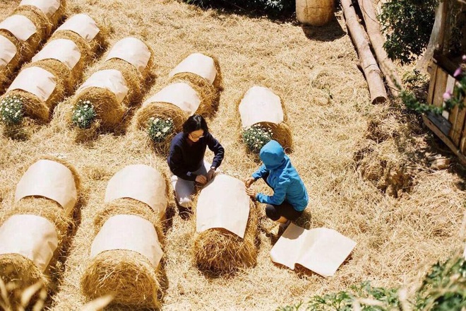 Đám cưới tự tay làm hết của cặp đôi Đà Lạt gây xôn xao MXH: Cho khách ngồi lên rơm, đến chung vui còn có quà handmade mang về - Ảnh 3.