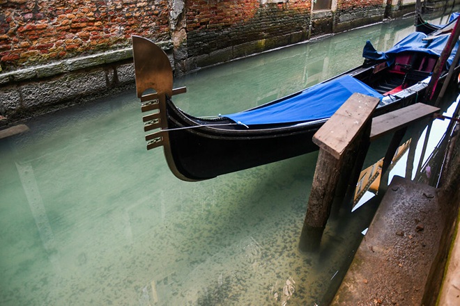 7 ngày qua ảnh: Dòng kênh ở Venice sạch chưa từng thấy nhờ Covid-19 - Ảnh 2.