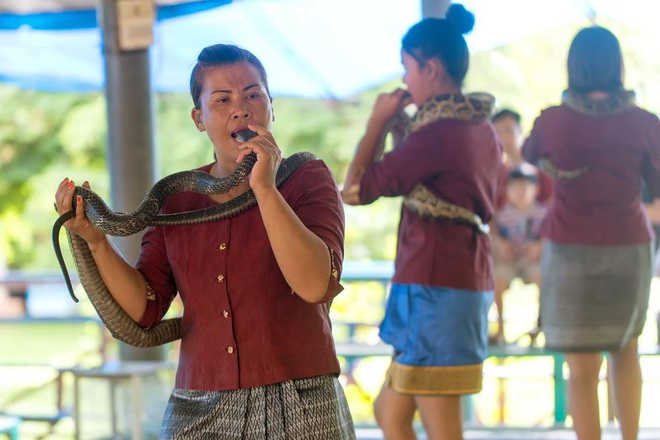 Thiên nhiên kỳ bí: Kỳ lạ ngôi làng có những đứa trẻ chơi đùa cùng rắn hổ mang chúa khổng lồ cực độc - Ảnh 5.