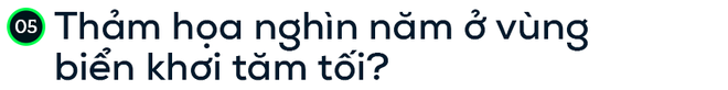 Giải mã địa điểm đáng sợ trên Trái Đất, nơi áp lực nặng bằng 1 tấn đặt lên đầu ngón tay - Ảnh 7.