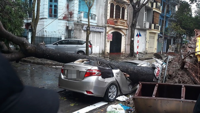 Chiếc xe ô tô bị cây đổ đè bẹp, biến dạng trong cơn mưa lớn ở Hà Nội  - Ảnh 2.