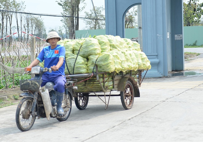 Máy bơm hoạt động hết công suất cứu hàng chục mẫu rau chìm trong biển nước sau cơn mưa lớn - Ảnh 10.