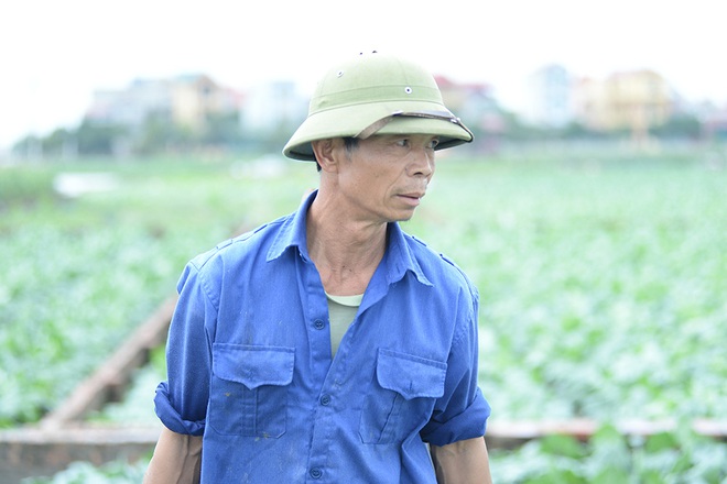 Máy bơm hoạt động hết công suất cứu hàng chục mẫu rau chìm trong biển nước sau cơn mưa lớn - Ảnh 6.