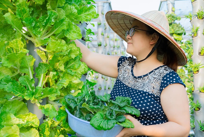 Ở nhà tránh dịch mới vài ngày, hội chị em đã bắt đầu đua nhau khoe vườn rau tại nhà sau khi được cải tạo, có nơi quả nặng trĩu cành hái ăn không kịp! - Ảnh 24.