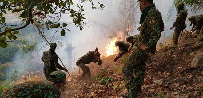 Cháy rừng tại An Giang, 6ha bị thiêu rụi - Ảnh 1.