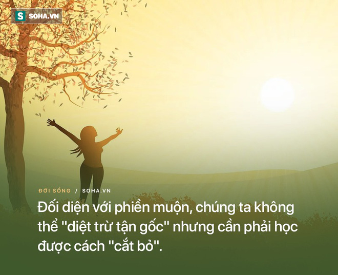 Lên chùa tìm cách rũ bỏ phiền muộn, không ngờ lại phải đi cắt tỉa cây triền miên, đến khi phát cáu, người đàn ông mới ngộ ra việc cần làm - Ảnh 3.