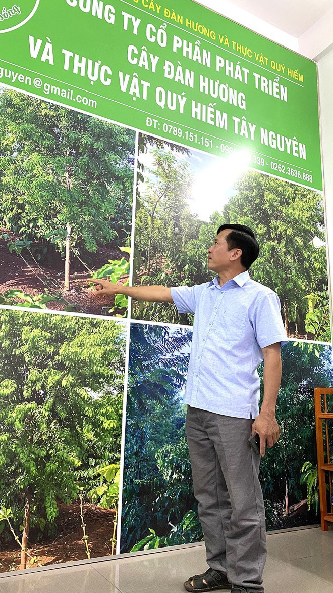 Chuyên gia Viện KHKT Nông - Lâm nghiệp Tây Nguyên: Đàn hương là vấn đề nóng hổi cần Nhà nước quan tâm - Ảnh 1.