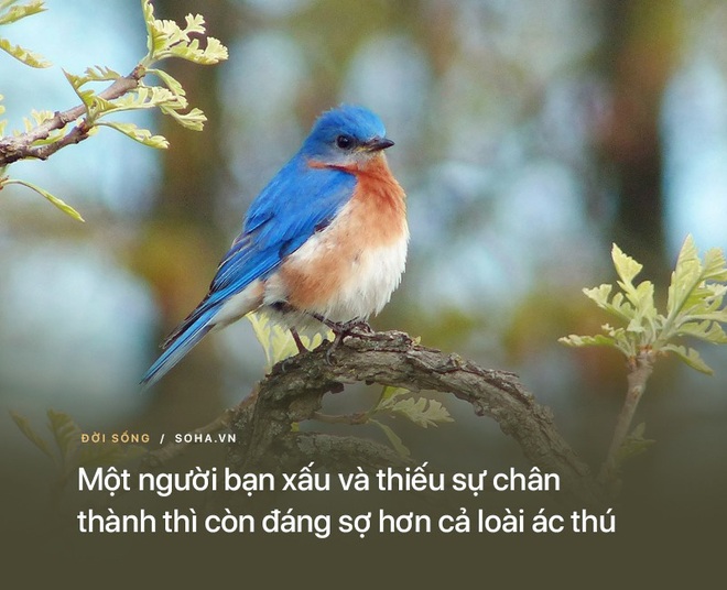 10 bài học từ những lời dạy của Đức Phật: Để không tổn thọ, hãy nhớ kỹ điều số 7 - Ảnh 5.