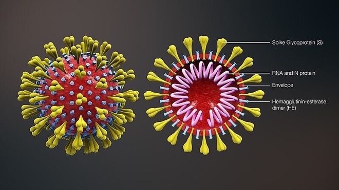 Giáo sư Martin Bachmann: Có phóng viên đến nơi tôi điều chế vaccine về bị triệu chứng giống COVID-19, tôi lo sốt vó! - Ảnh 3.