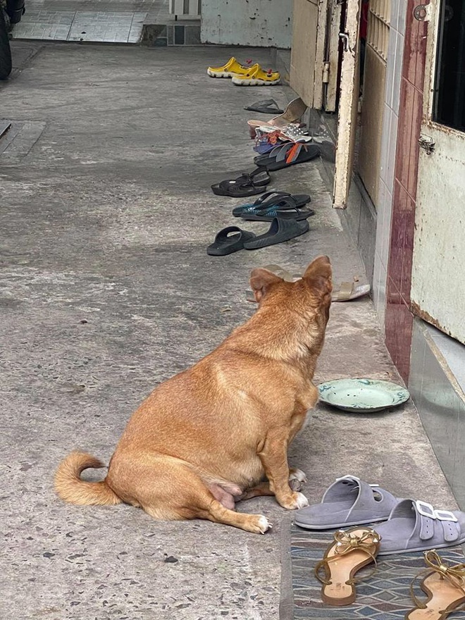 Đại boss tận dụng từng khách hàng của sen để kiếm ăn, ngày nào cũng đi thu họ đều đặn - Ảnh 4.