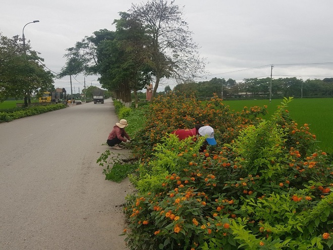 Đông Anh: Phun khử trùng tại khu dân cư Bắc Thăng Long, xã Hải Bối - Ảnh 7.